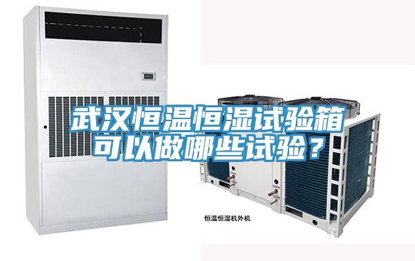 武漢恒溫恒濕試驗箱可以做哪些試驗？