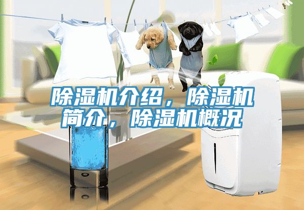除濕機介紹，除濕機簡介，除濕機概況