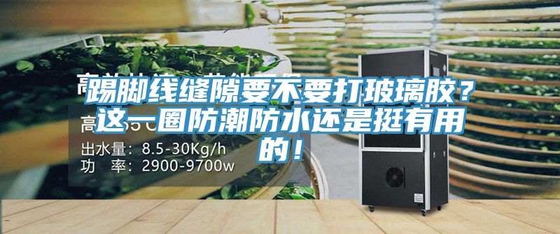 踢腳線縫隙要不要打玻璃膠？這一圈防潮防水還是挺有用的！