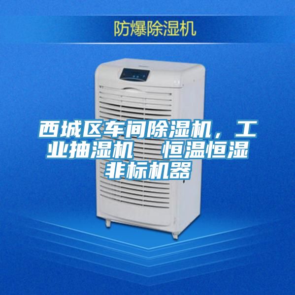 西城區(qū)車間除濕機，工業(yè)抽濕機  恒溫恒濕非標(biāo)機器