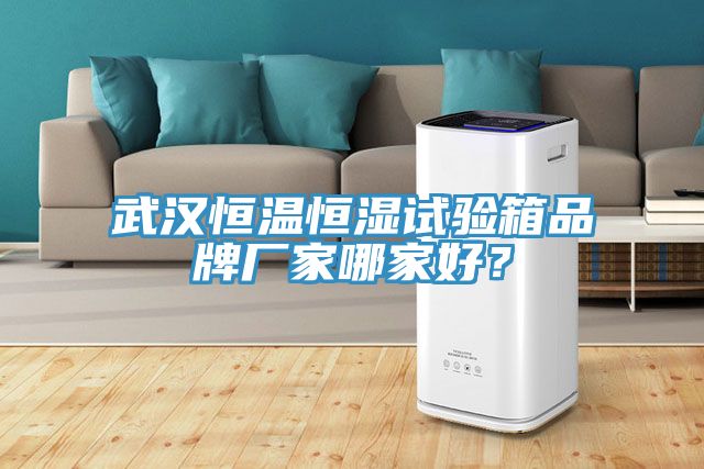 武漢恒溫恒濕試驗箱品牌廠家哪家好？