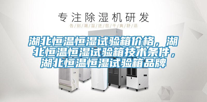 湖北恒溫恒濕試驗箱價格，湖北恒溫恒濕試驗箱技術(shù)條件，湖北恒溫恒濕試驗箱品牌