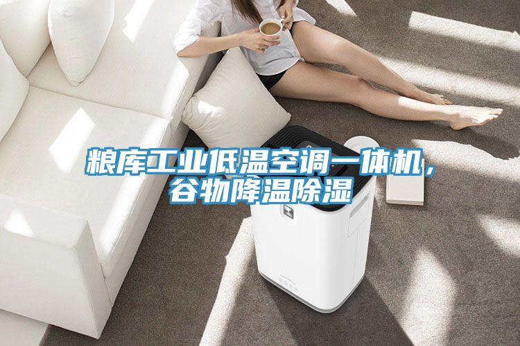 糧庫工業(yè)低溫空調(diào)一體機，谷物降溫除濕