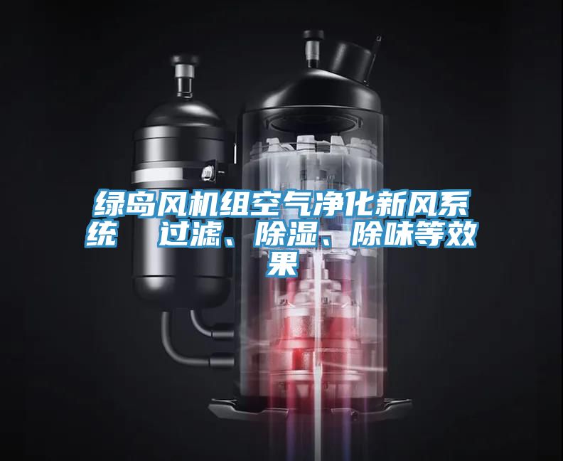 綠島風(fēng)機(jī)組空氣凈化新風(fēng)系統(tǒng)  過(guò)濾、除濕、除味等效果