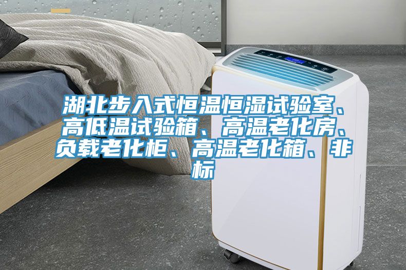 湖北步入式恒溫恒濕試驗室、高低溫試驗箱、高溫老化房、負載老化柜、高溫老化箱、非標(biāo)