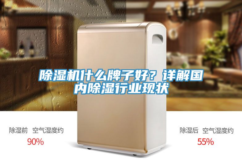 除濕機(jī)什么牌子好？詳解國內(nèi)除濕行業(yè)現(xiàn)狀