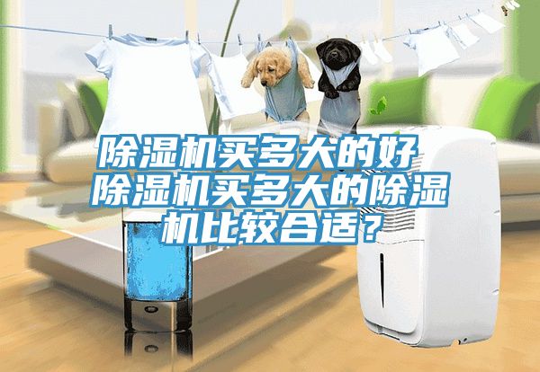 除濕機(jī)買(mǎi)多大的好 除濕機(jī)買(mǎi)多大的除濕機(jī)比較合適？