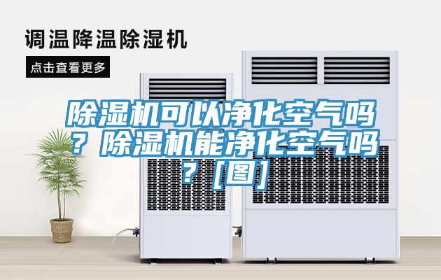 除濕機(jī)可以凈化空氣嗎？除濕機(jī)能凈化空氣嗎？[圖]