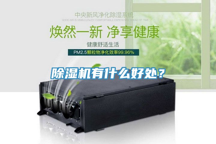 除濕機(jī)有什么好處？