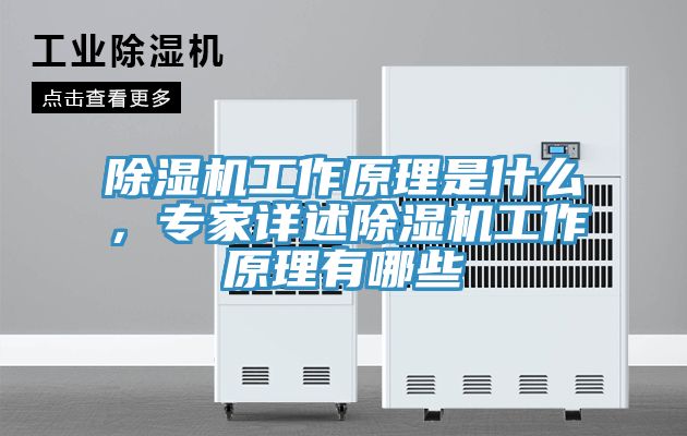 除濕機(jī)工作原理是什么，專家詳述除濕機(jī)工作原理有哪些