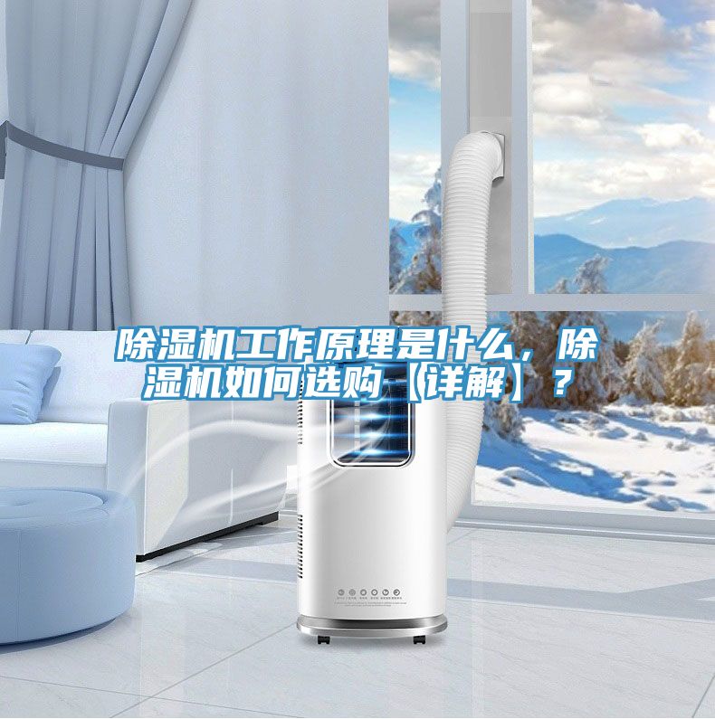 除濕機(jī)工作原理是什么，除濕機(jī)如何選購【詳解】？