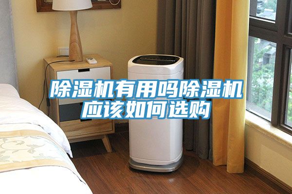 除濕機有用嗎除濕機應(yīng)該如何選購