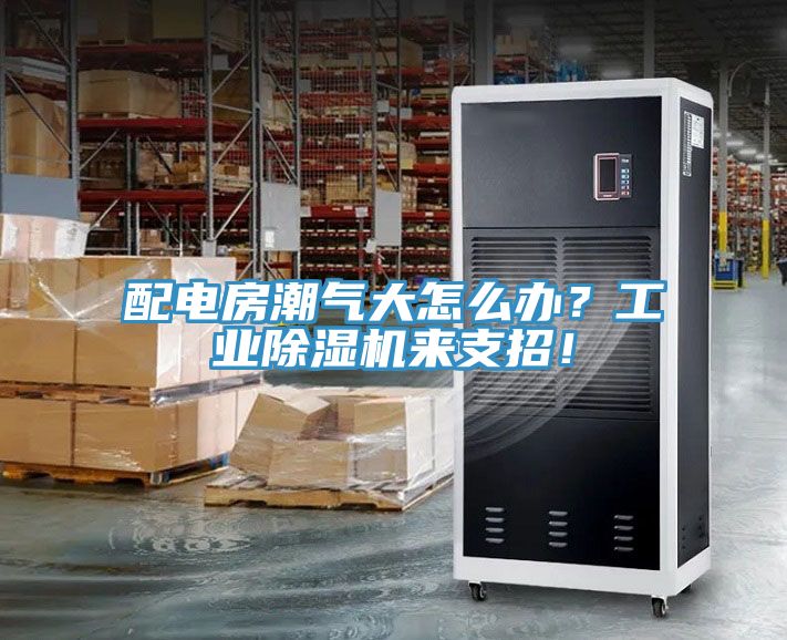 配電房潮氣大怎么辦？工業(yè)除濕機(jī)來(lái)支招！