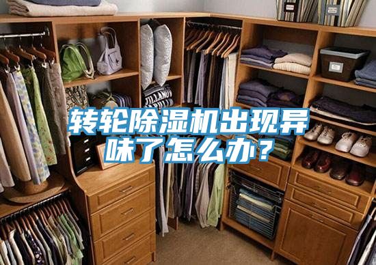 轉(zhuǎn)輪除濕機(jī)出現(xiàn)異味了怎么辦？