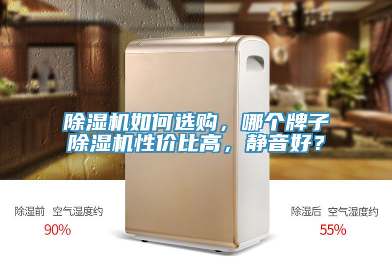 除濕機(jī)如何選購(gòu)，哪個(gè)牌子除濕機(jī)性?xún)r(jià)比高，靜音好？