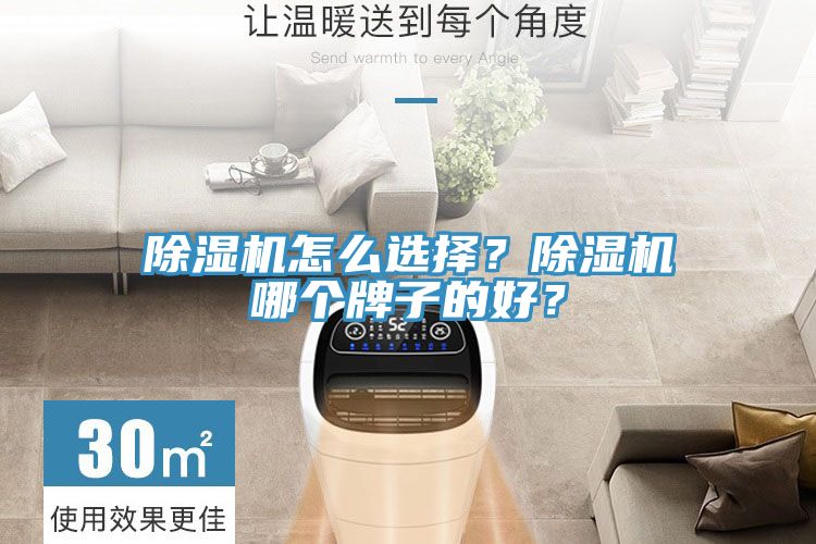 除濕機(jī)怎么選擇？除濕機(jī)哪個(gè)牌子的好？