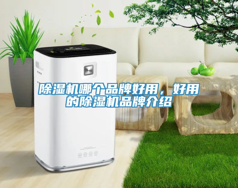 除濕機(jī)哪個(gè)品牌好用，好用的除濕機(jī)品牌介紹