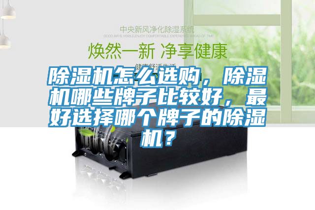 除濕機怎么選購，除濕機哪些牌子比較好，最好選擇哪個牌子的除濕機？