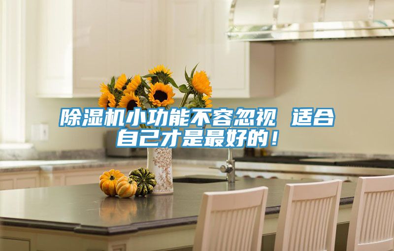 除濕機(jī)小功能不容忽視 適合自己才是最好的！