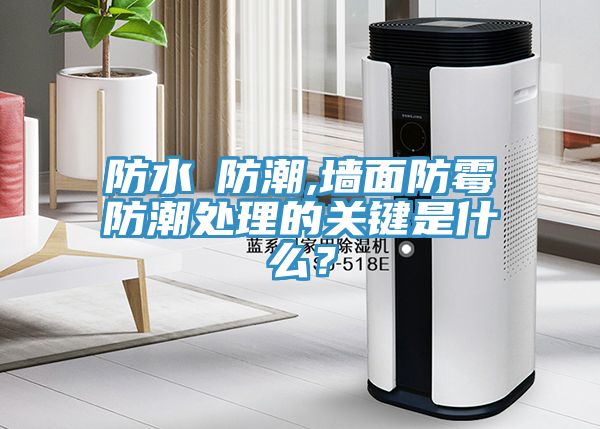 防水≠防潮,墻面防霉防潮處理的關(guān)鍵是什么？