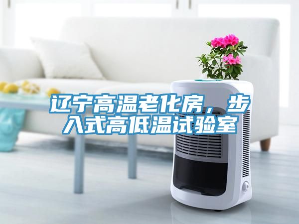遼寧高溫老化房，步入式高低溫試驗(yàn)室