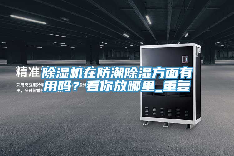 除濕機(jī)在防潮除濕方面有用嗎？看你放哪里_重復(fù)