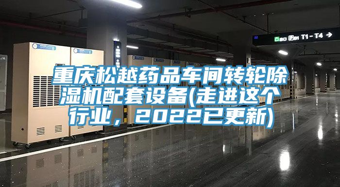 重慶松越藥品車間轉輪除濕機配套設備(走進這個行業(yè)，2022已更新)