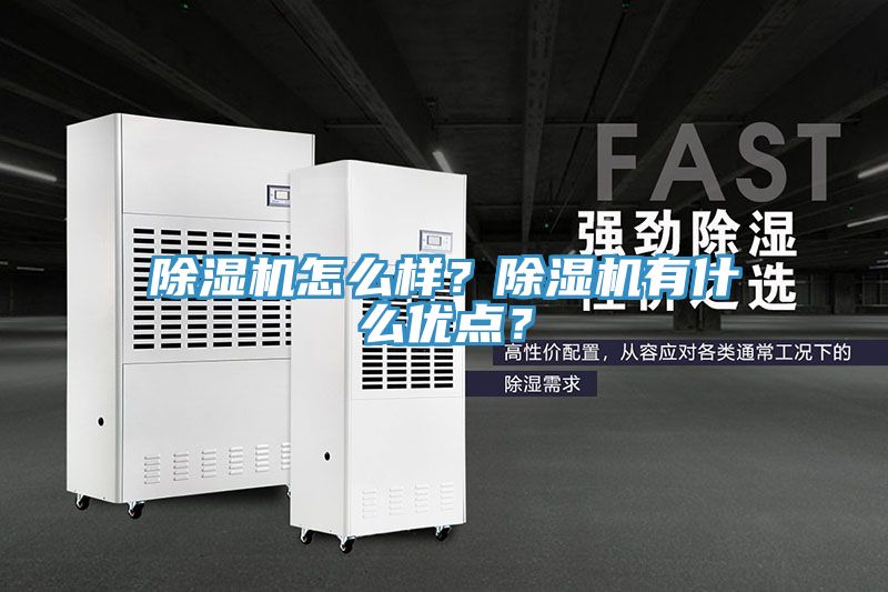 除濕機怎么樣？除濕機有什么優(yōu)點？