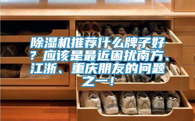 除濕機(jī)推薦什么牌子好？應(yīng)該是最近困擾南方、江浙、重慶朋友的問(wèn)題之一！