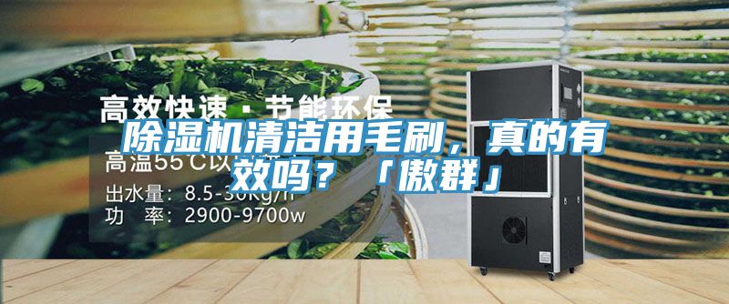 除濕機(jī)清潔用毛刷，真的有效嗎？「傲群」