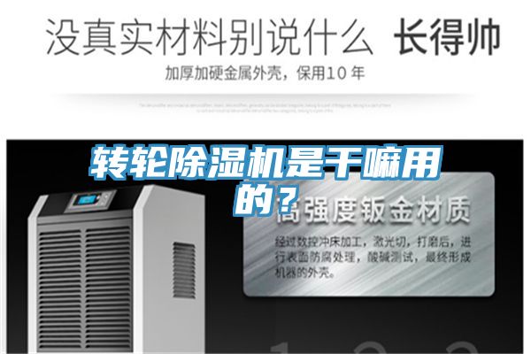 轉(zhuǎn)輪除濕機是干嘛用的？