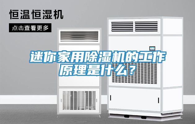 迷你家用除濕機(jī)的工作原理是什么？
