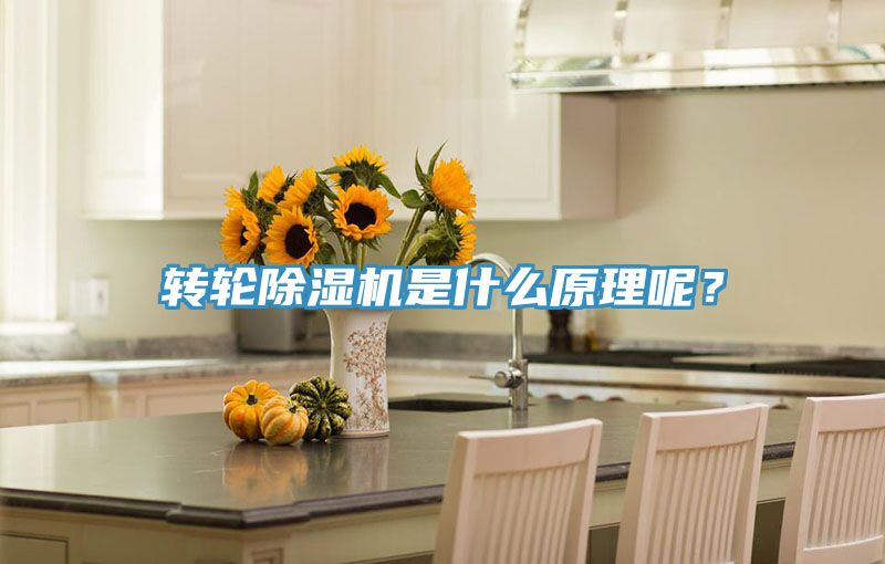 轉(zhuǎn)輪除濕機是什么原理呢？