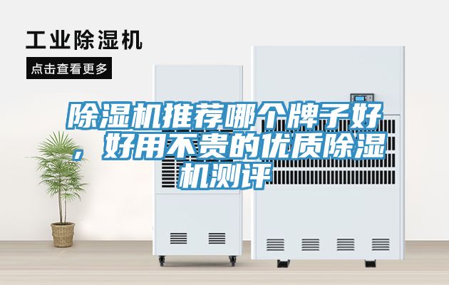 除濕機(jī)推薦哪個(gè)牌子好，好用不貴的優(yōu)質(zhì)除濕機(jī)測(cè)評(píng)
