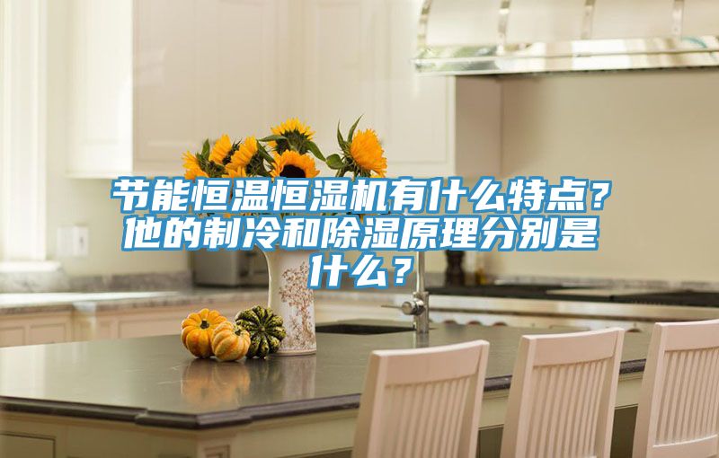 節(jié)能恒溫恒濕機(jī)有什么特點？他的制冷和除濕原理分別是什么？