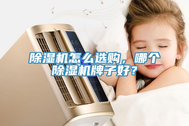 除濕機怎么選購，哪個除濕機牌子好？