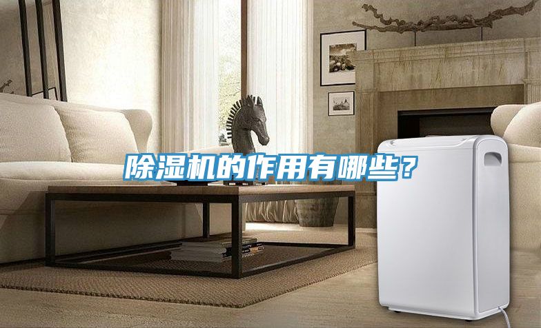 除濕機的作用有哪些？