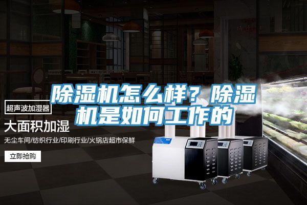 除濕機怎么樣？除濕機是如何工作的