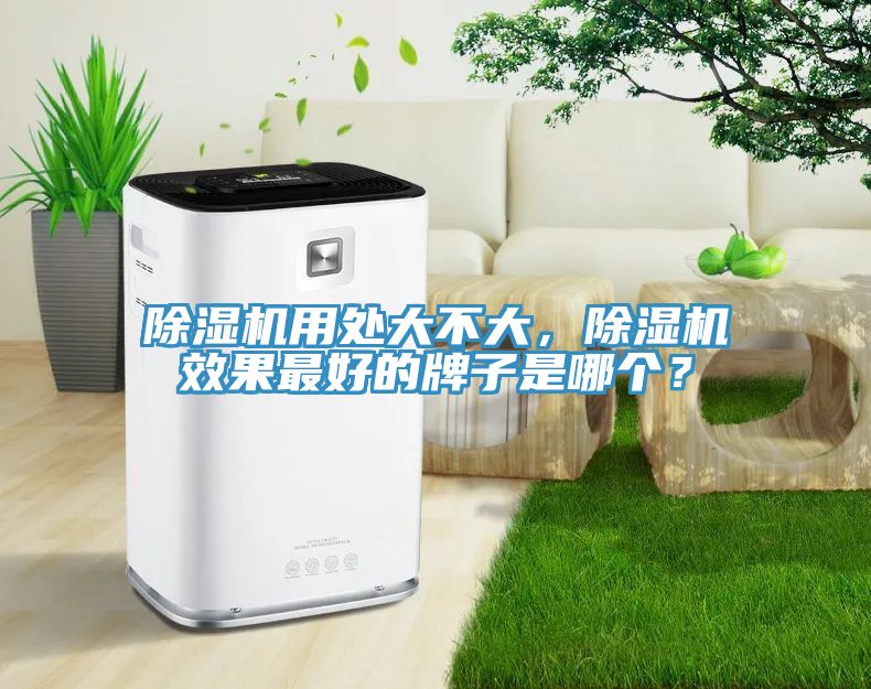 除濕機(jī)用處大不大，除濕機(jī)效果最好的牌子是哪個(gè)？