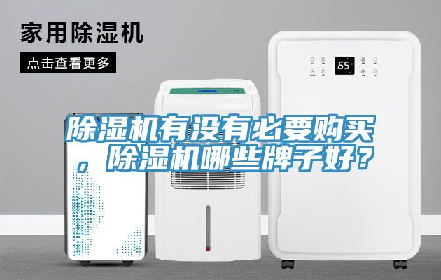 除濕機有沒有必要購買，除濕機哪些牌子好？