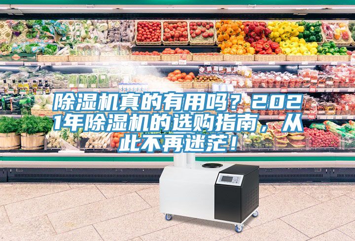 除濕機真的有用嗎？2021年除濕機的選購指南，從此不再迷茫！