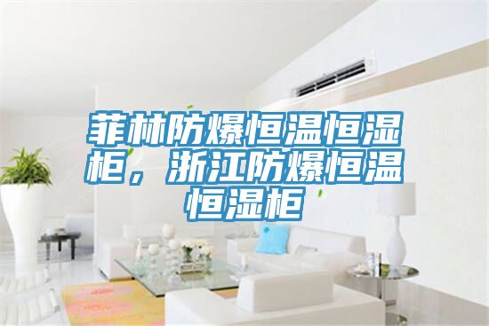 菲林防爆恒溫恒濕柜，浙江防爆恒溫恒濕柜