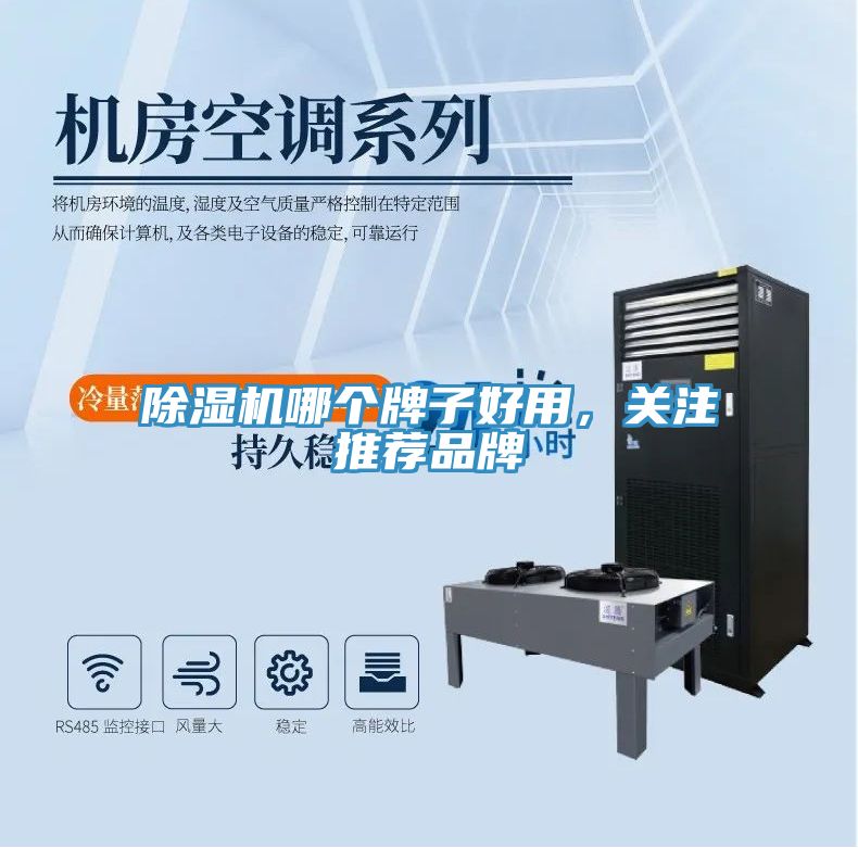 除濕機哪個牌子好用，關注推薦品牌