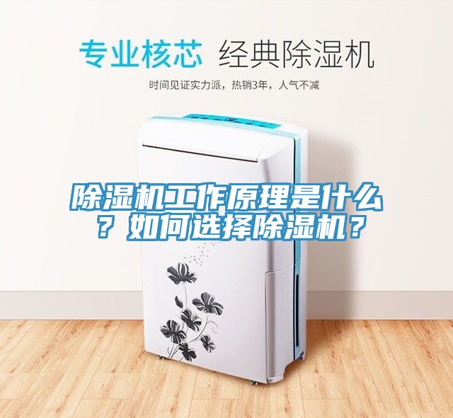 除濕機(jī)工作原理是什么？如何選擇除濕機(jī)？