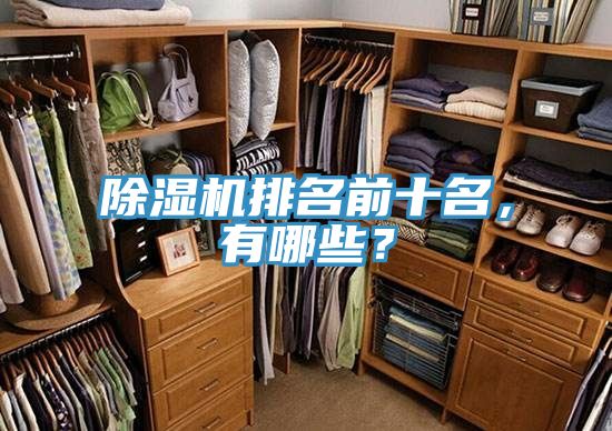 除濕機排名前十名，有哪些？