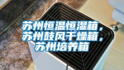 蘇州恒溫恒濕箱，蘇州鼓風(fēng)干燥箱，蘇州培養(yǎng)箱