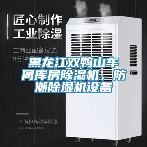 黑龍江雙鴨山車間庫房除濕機，防潮除濕機設備