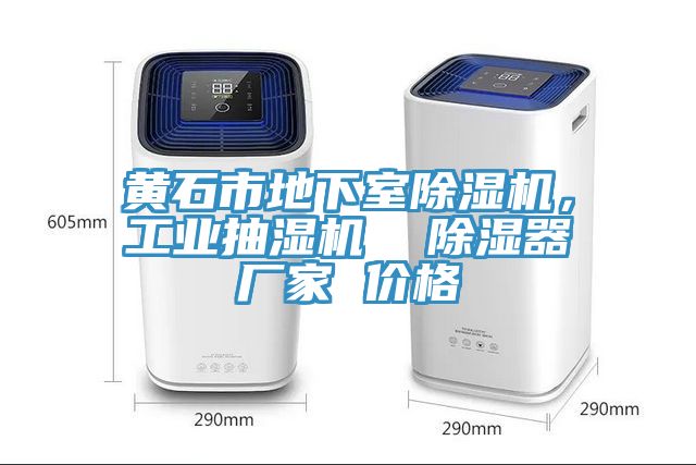 黃石市地下室除濕機，工業(yè)抽濕機  除濕器廠家 價格
