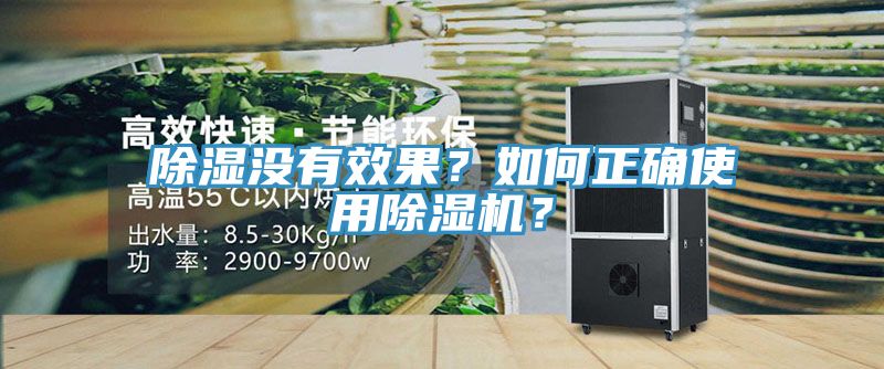 除濕沒有效果？如何正確使用除濕機？