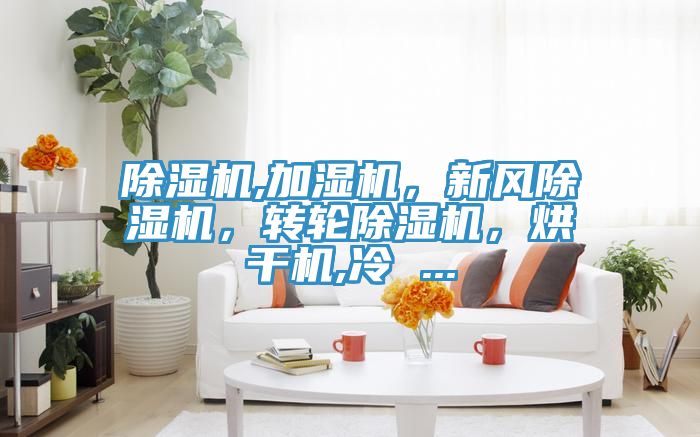 除濕機,加濕機，新風除濕機，轉(zhuǎn)輪除濕機，烘干機,冷 ...